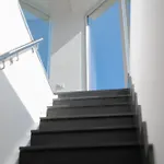 Hotel Cocceio 3*
