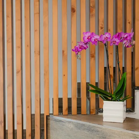 Hotel Cocceio 3*